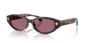 108/1A - Havana with Violet Lenses
