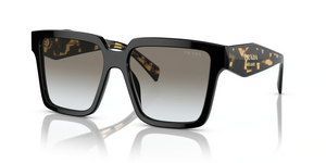 1AB0A7 - Black with Dark Gradient Lenses