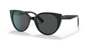 1AB5S0 - Black with Dark Grey Lenses