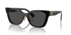 1AB5S0 - Black with Dark Grey Lenses