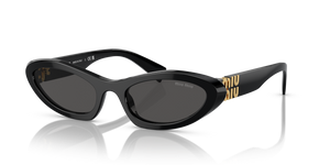 1AB5S0 - Black with Dark Grey Lenses