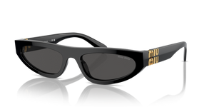 1AB5S0 - Black with Dark Grey Lenses