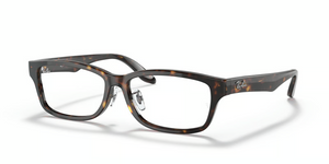 2012 - Havana with Clear Lenses