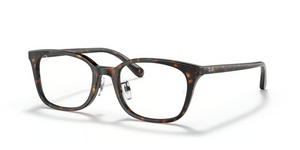2012 - Havana with Clear Lenses