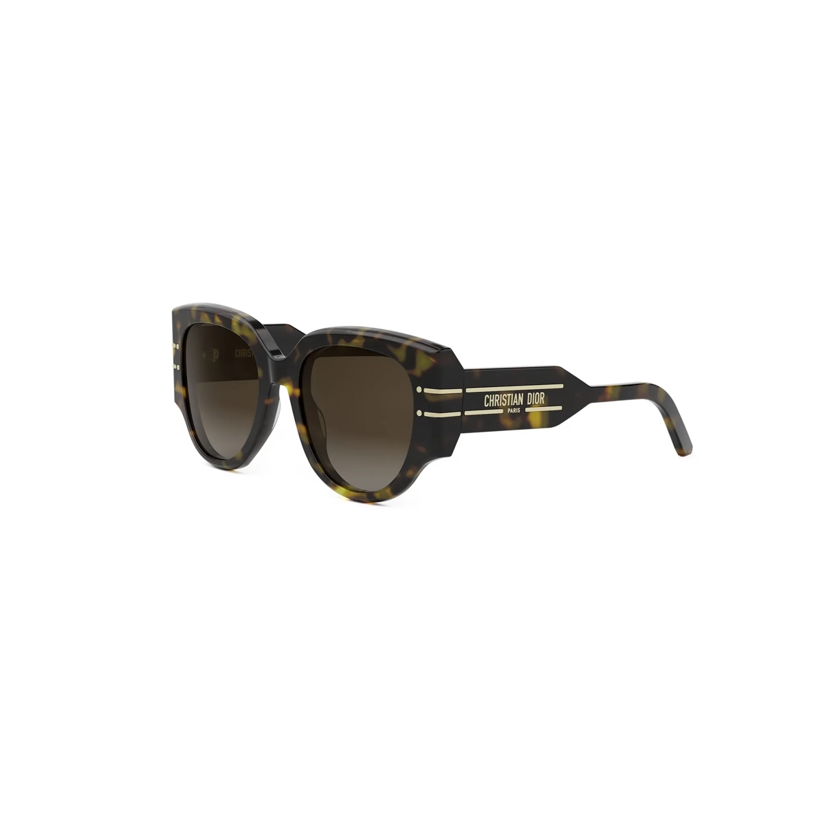 Dior DiorSignature R2I CD40187I Sunglasses