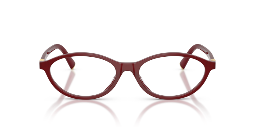 Miu Miu MU 09XVF Eyeglasses