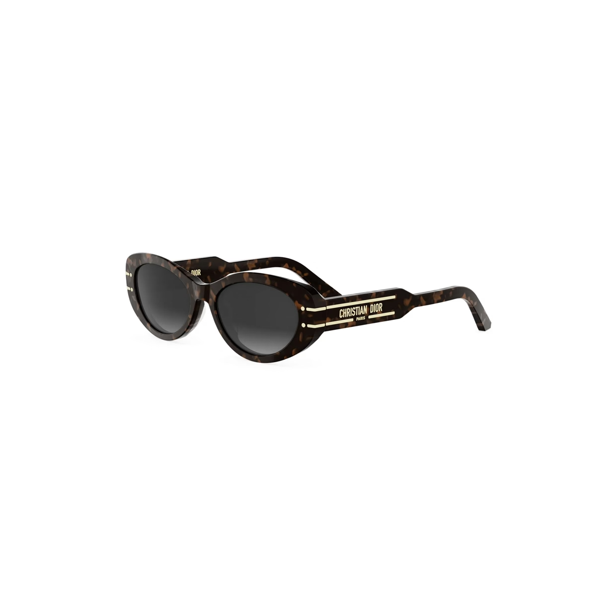 Dior DiorSignature B8U CD40170U Sunglasses