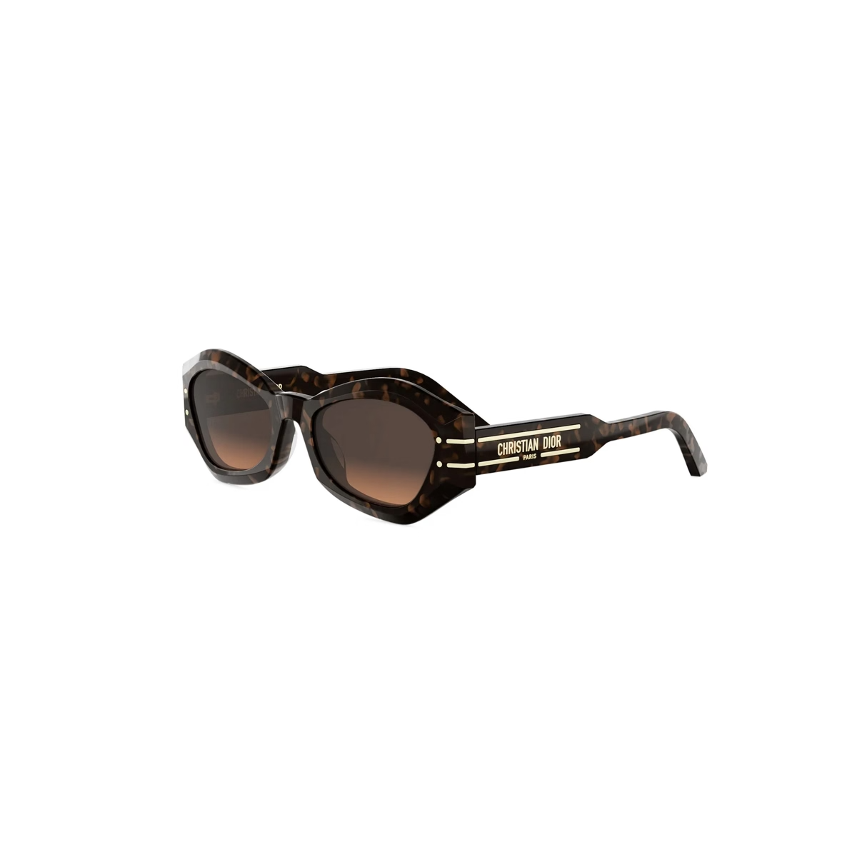 Dior DiorSignature B1U CD40139U Sunglasses