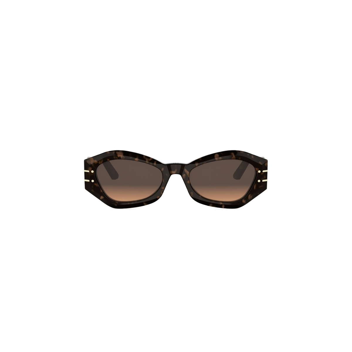 Dior DiorSignature B1U CD40139U Sunglasses