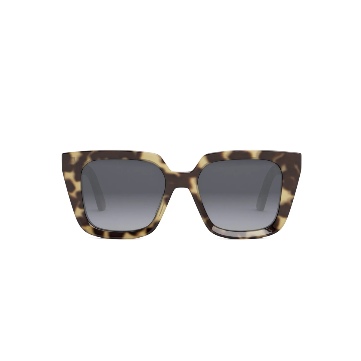 Dior DiorMidnight S1I CD40092I Sunglasses