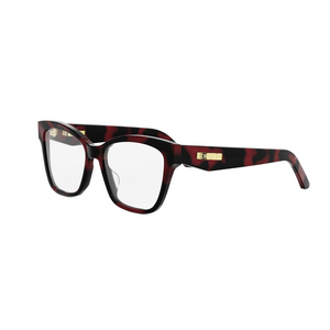 2500 - Shiny Havana with Clear Lenses