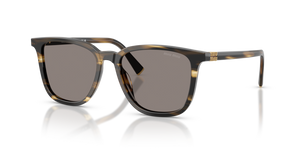 25E80Q - Striped Loden with Dark Grey Lenses
