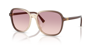 25G40S - Brown Gradient with Brown Gradient Violet Lenses