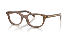 28I1O1 - Transparent Clay with Clear Lenses
