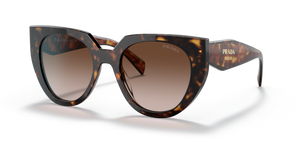 2AU6S1 - Tortoise with Brown Gradient Lenses