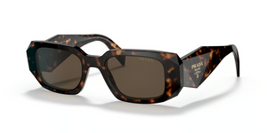 2AU8C1 - Tortoise with Brown Lenses