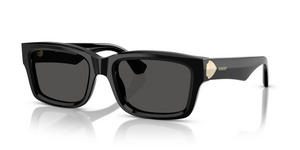 300187 - Black with Dark Grey Lenses