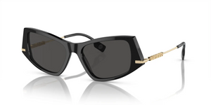300187 - Black with Dark Grey Lenses