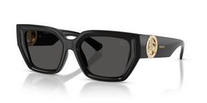 300187 - Black with Dark Grey Lenses