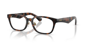 3002 - Dark Havana with Clear Lenses