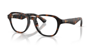 3002 - Dark Havana with Clear Lenses