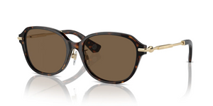 300273 - Dark Havana with Dark Brown Lenses