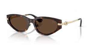 300273 - Dark Havana with Dark Brown Lenses