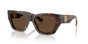 300273 - Dark Havana with Dark Brown Lenses