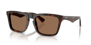 300273 - Dark Havana with Dark Brown Lenses
