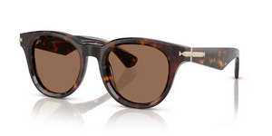 300273 - Dark Havana with Dark Brown Lenses