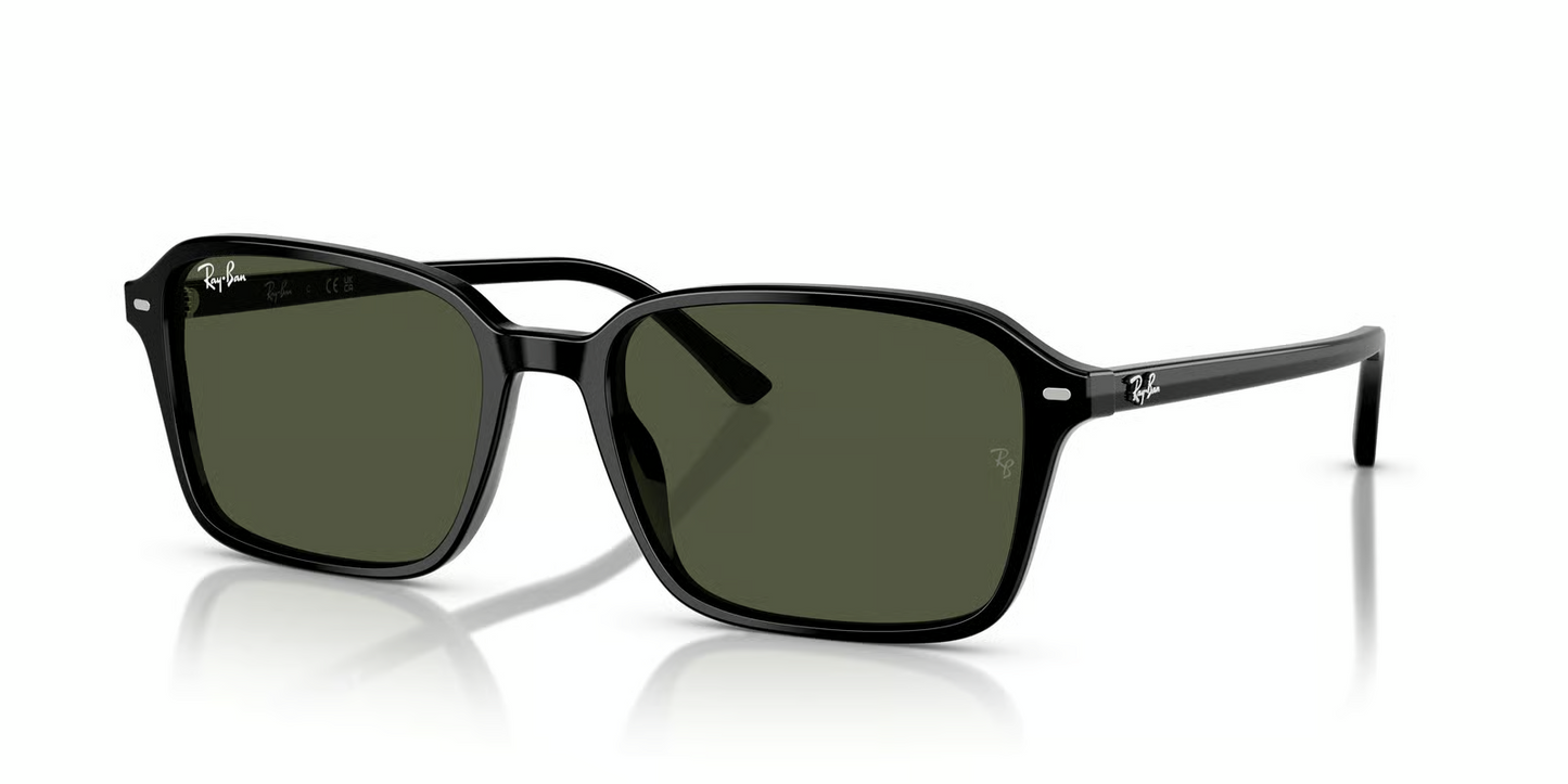 Ray-Ban RB2231 Raimond Sunglasses