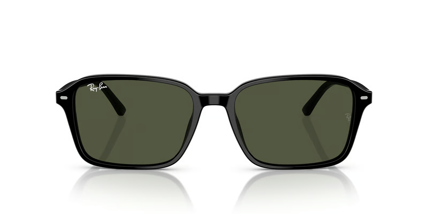 Ray-Ban RB2231 Raimond Sunglasses
