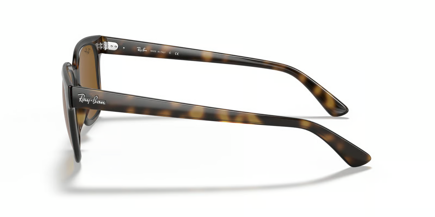 Ray-Ban RB4323 Sunglasses