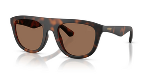 353673 - Matte Dark Havana with Dark Brown Lenses