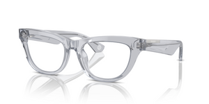 3825 - Grey with Clear Lenses