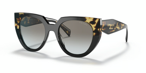 3890A7 - Black/Tortoise with Grey Gradient Lenses