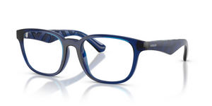 4110 - Blue with Clear Lenses