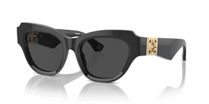 411287 - Dark Grey with Dark Grey Lenses