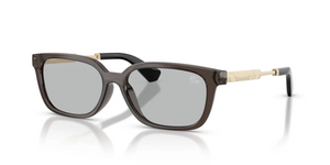 411287 - Grey with Light Grey Lenses