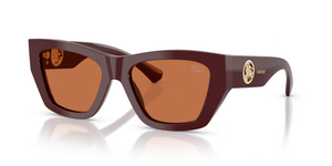 411973 - Bordeaux with Brown Lenses