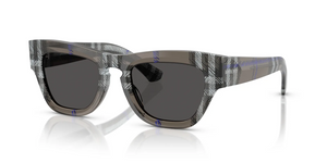 414787 - Check Lichen with Dark Grey Lenses