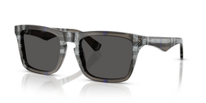 414787 - Check Lichen with Dark Grey Lenses