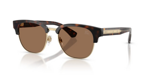 420573 - Dark Havana with Dark Brown Lenses
