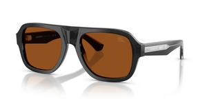 421173 - Grey with Dark Brown Lenses
