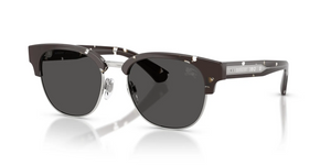 422587 - Black Havana with Dark Grey Lenses
