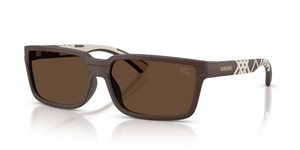 423473 - Matte Brown with Dark Brown Lenses