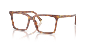 4BW1O1 - Red Havana with Clear Lenses