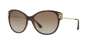 514813 - Havana with Light Dark Brown Gradient Lenses