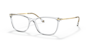 5305 - Transparent Grey Blue with Clear Lenses
