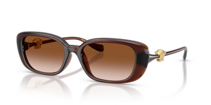 533213 - Transparent Brown with Brown Gradient Lenses